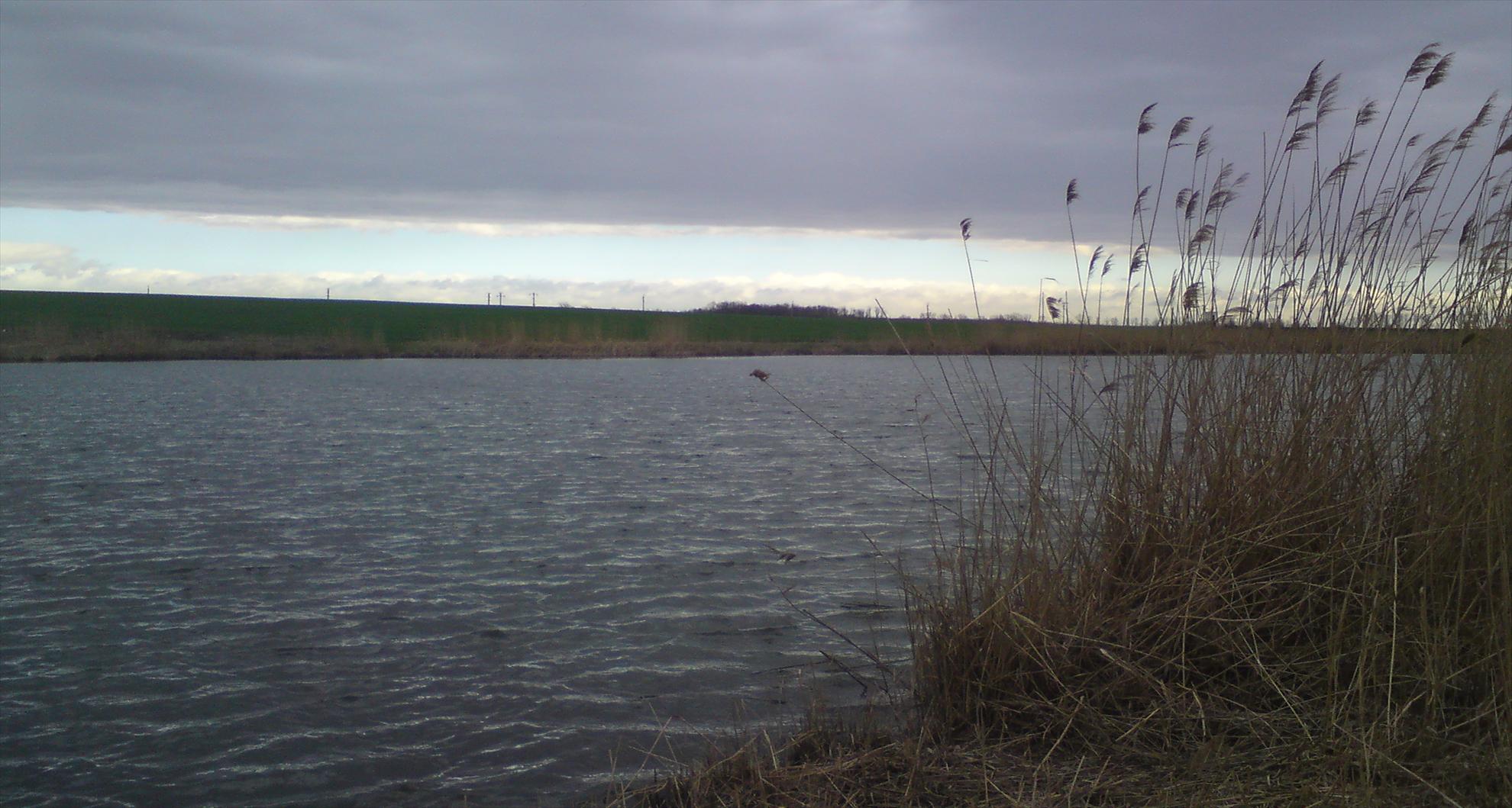 Movilita-Inceputuri..... - dsc00024.JPG